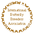 Funeral butterflies, memorial butterflies, butterflies for funerals and memorials, live butterflies for memorials and ceremonies