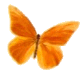 Butterflies for Butterfly Memorials