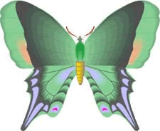 Green Memorial Butterfly