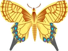 Yellow Memorial Butterfly