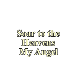 Soar to the heavens my angel