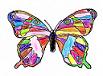 Color A Butterfly