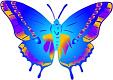 Butterflies of the Rain Forest