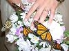Monarch Butterfly Wedding